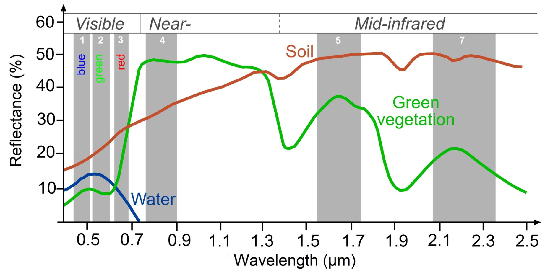 Wavelength vs Reflectance